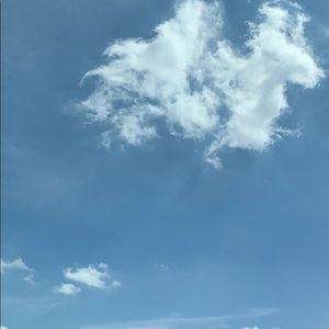 Meet your Posher, Rama